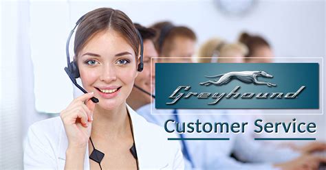 Contact Amtrak with questions about your reservation or feedback about your rail trip. . Greyhound customer service